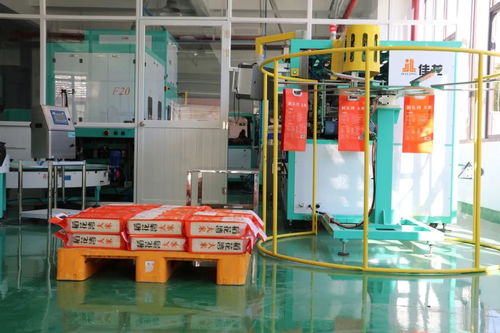 糧辰新景，科技造夢 金山90后用VR與木藝重塑稻田時光